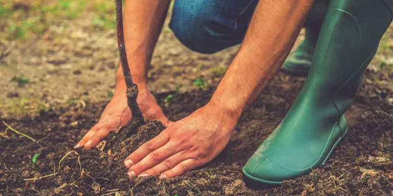 impianto di illuminazione giardino per esterni