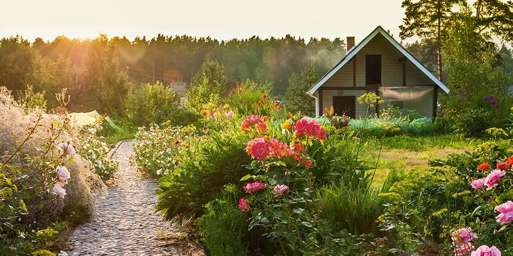 Rifacimento Giardini e Progettazione Spazi Verdi