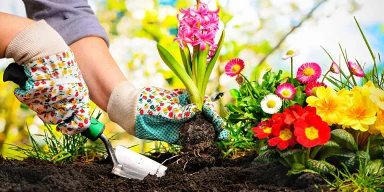 progettazione giardino con impianto irrigazione e decorazioni